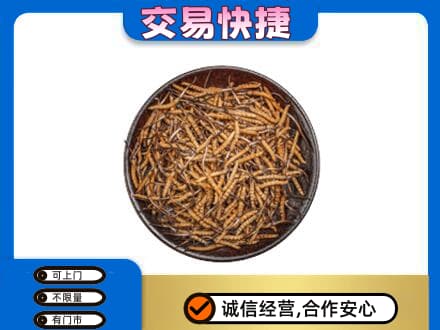 迭部县礼品回收虫草.jpg